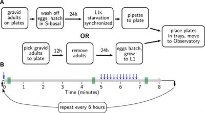 The C. elegans Observatory: High-throughput exploration of behavioral aging